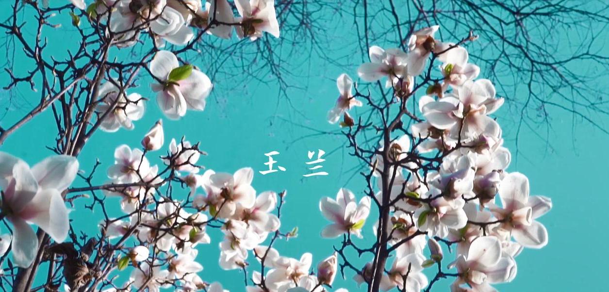 春天的陕西·汉中：一座秀美的山水城市