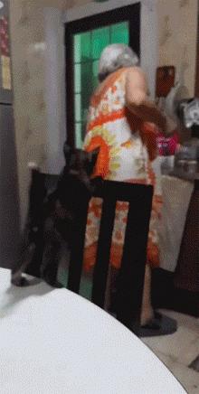 猫咪挑食只需一招,猫咪讨食小技巧