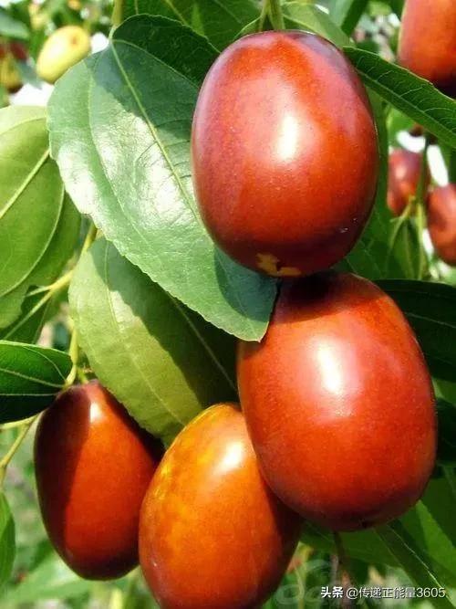 河南介绍简短100字,河南介绍300-500字