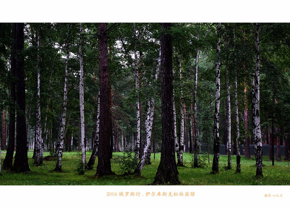 俄罗斯旅行记完整视频,俄罗斯行摄