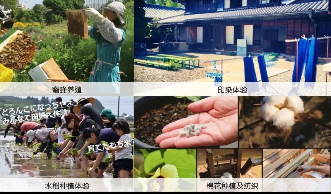 1.5亩地收入却高达19万,这个“共享农场”有啥秘诀?