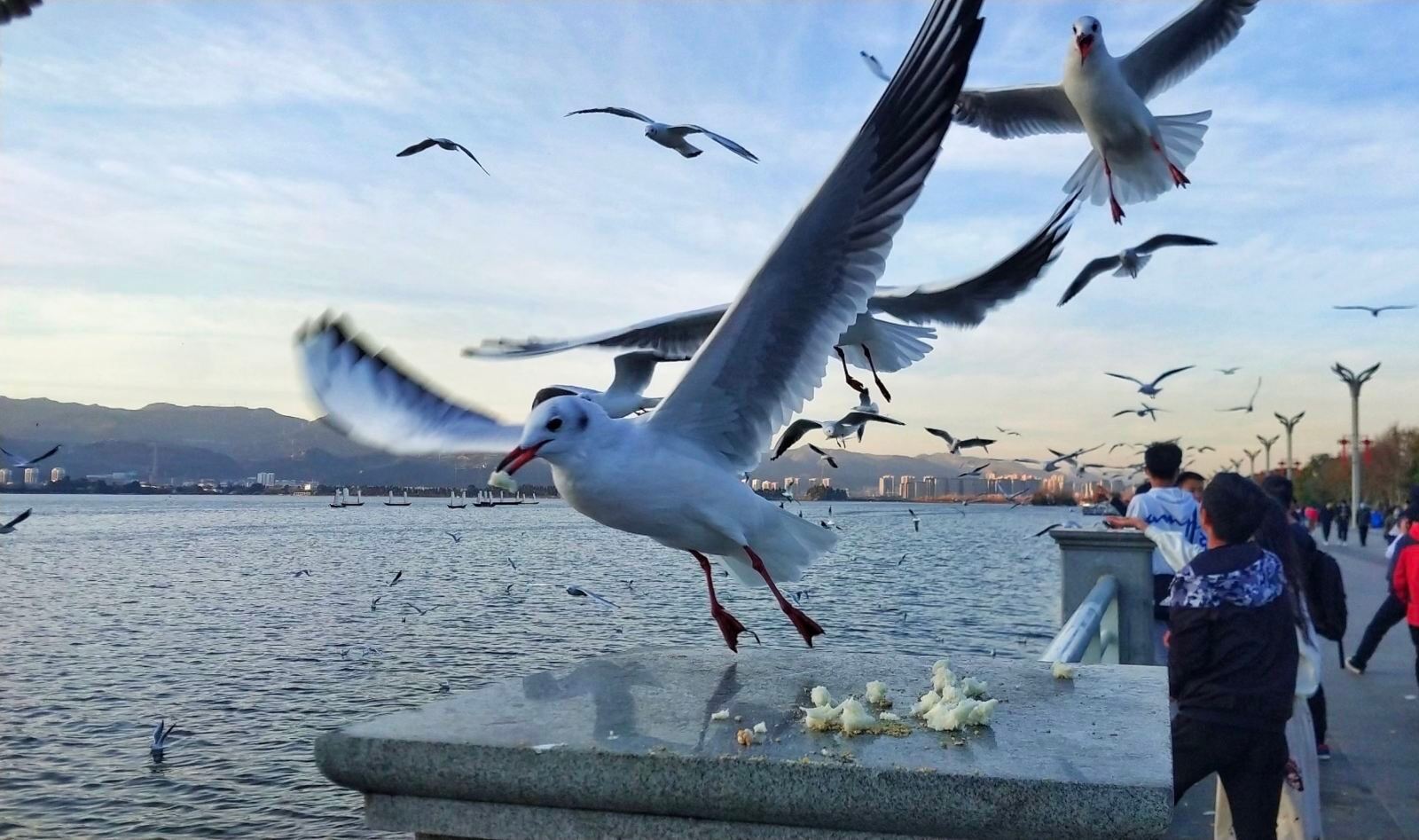 云南旅游景点大全最值得去的,云南旅游景点有哪些好玩的