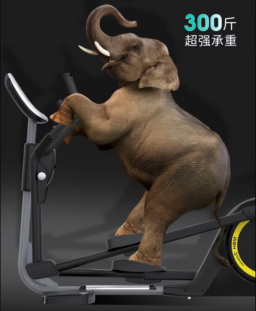 女生去健身房适合用哪些健身器材,健身房减肚子的健身器材