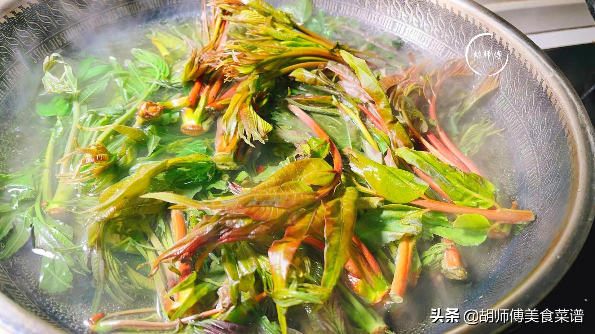 香椿不能随便吃,香椿不建议多吃吗