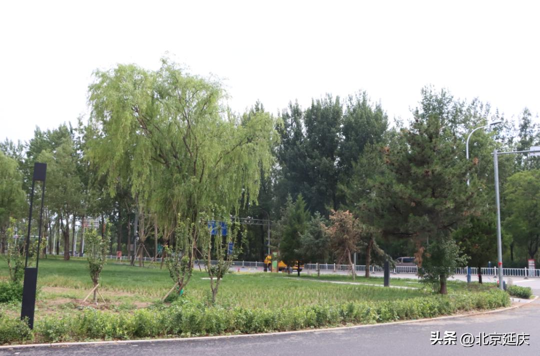 延庆环境治理,四项措施推进街道环境综合整治