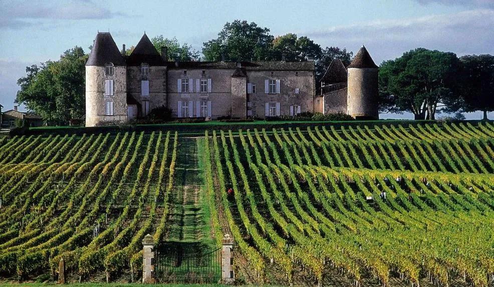 苏玳滴金图片,滴金酒6升