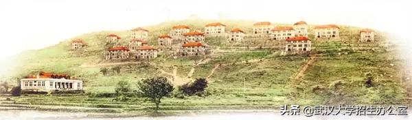 武汉大学眼中的十大名校,2022年武汉大学