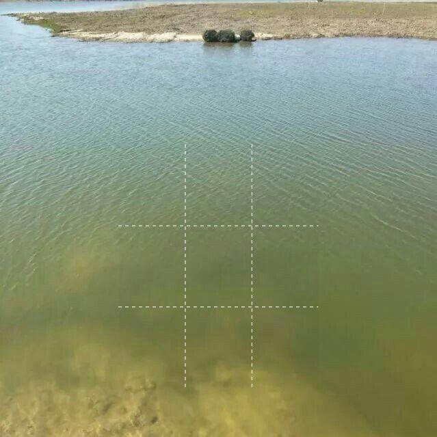 虾塘肥不起来怎么处理,虾塘肥水肥不起来