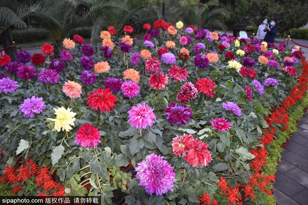 来北京必逛皇家园林,北京具有特色的皇家园林