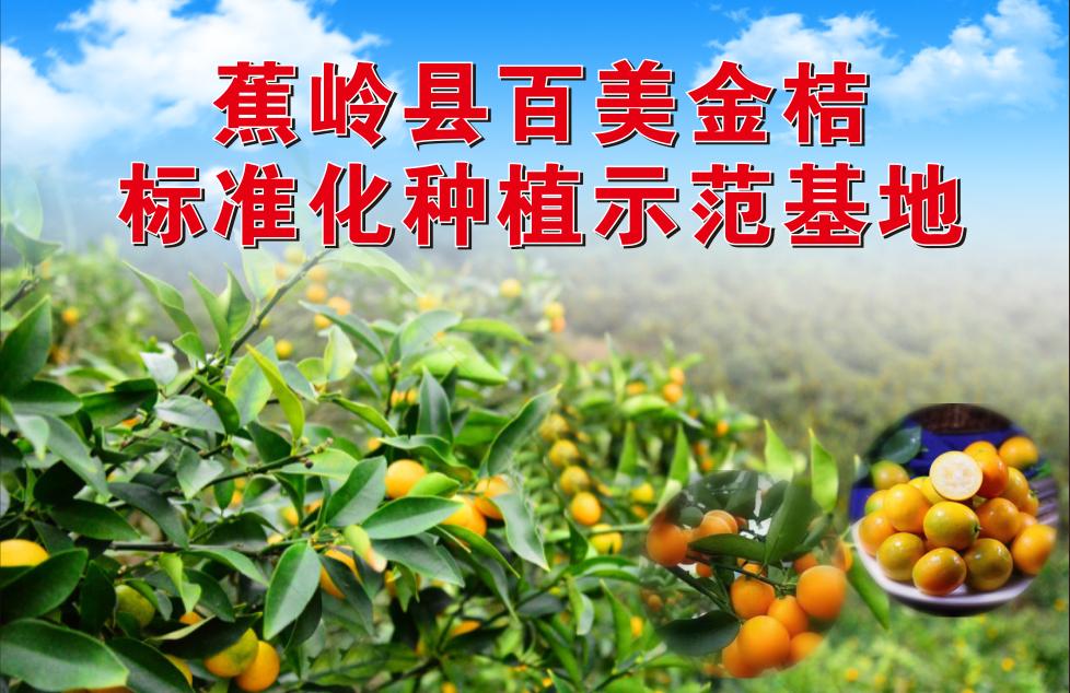 农业产业扶贫示范基地,发挥农业示范基地的引领作用