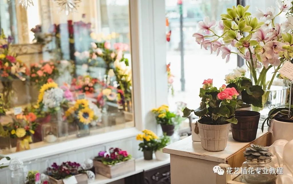 花店店铺起名创意大全集,开花店叫什么店名吸引人气