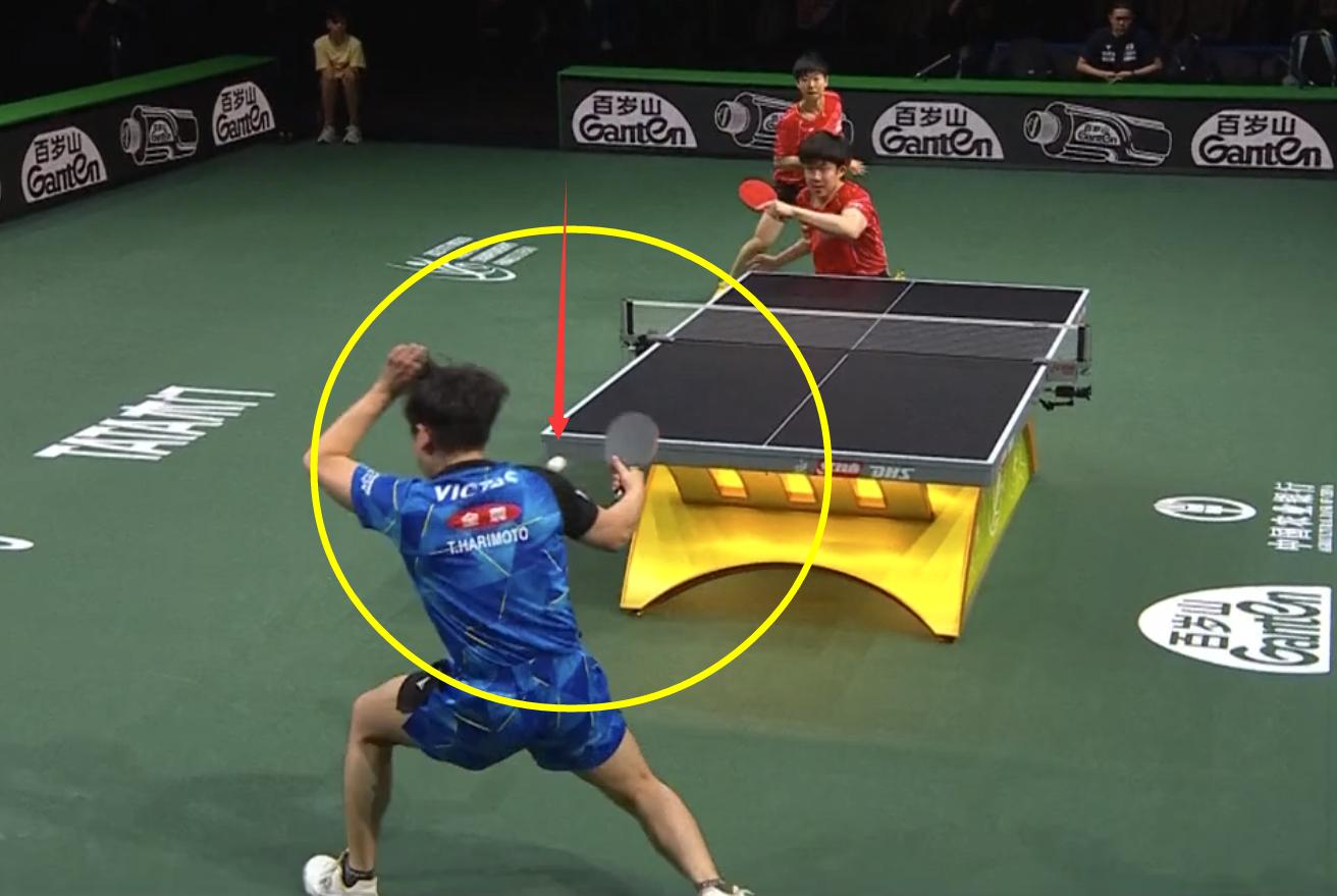 张本智和输伊朗王楚钦表情,张本智和赛后采访哭了视频