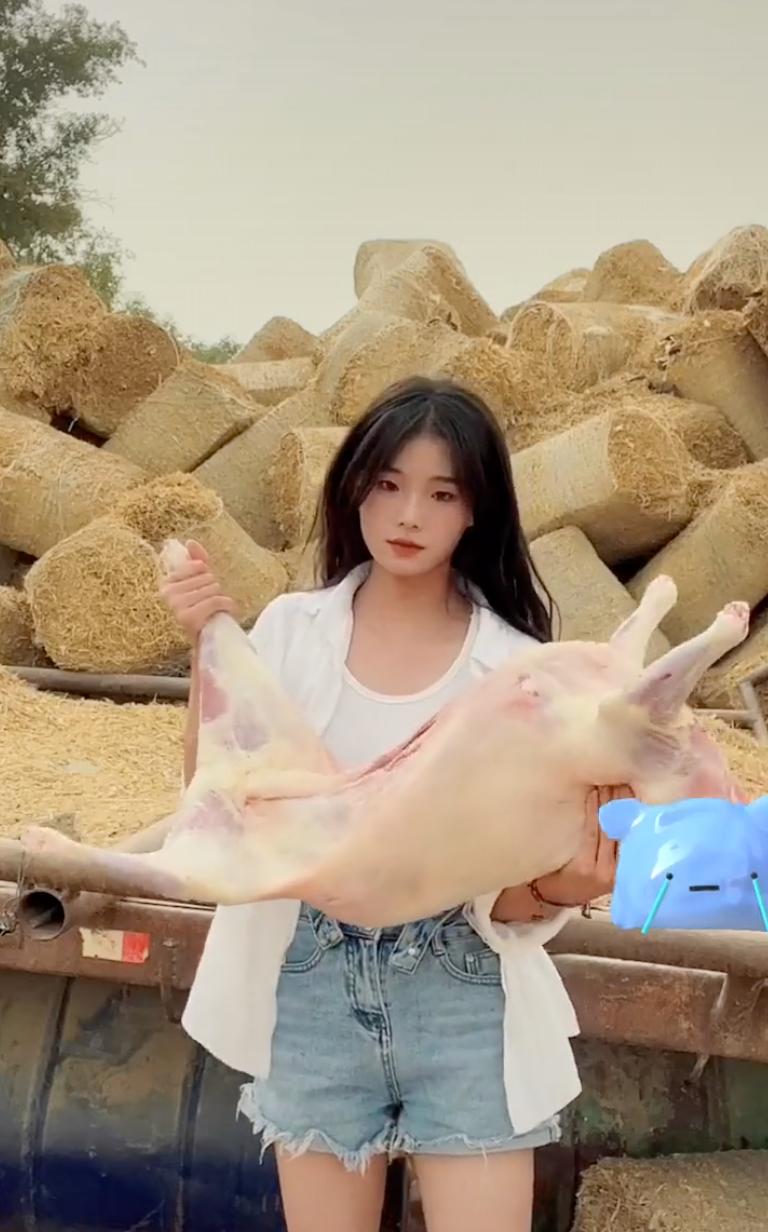 “马蓉二号”or剧本造红带货？知名网红灰太狼的羊事件全过程