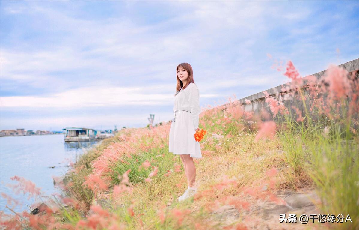 鲜花得了非霉病怎么办,鲜花病了怎么救活