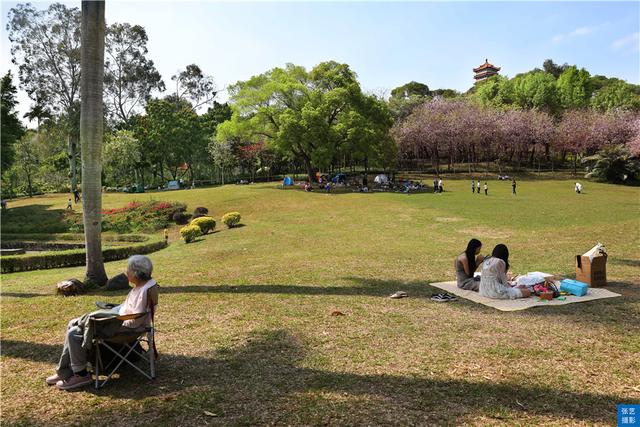 广州风景好又安静的地方推荐,广州最幽静的景点