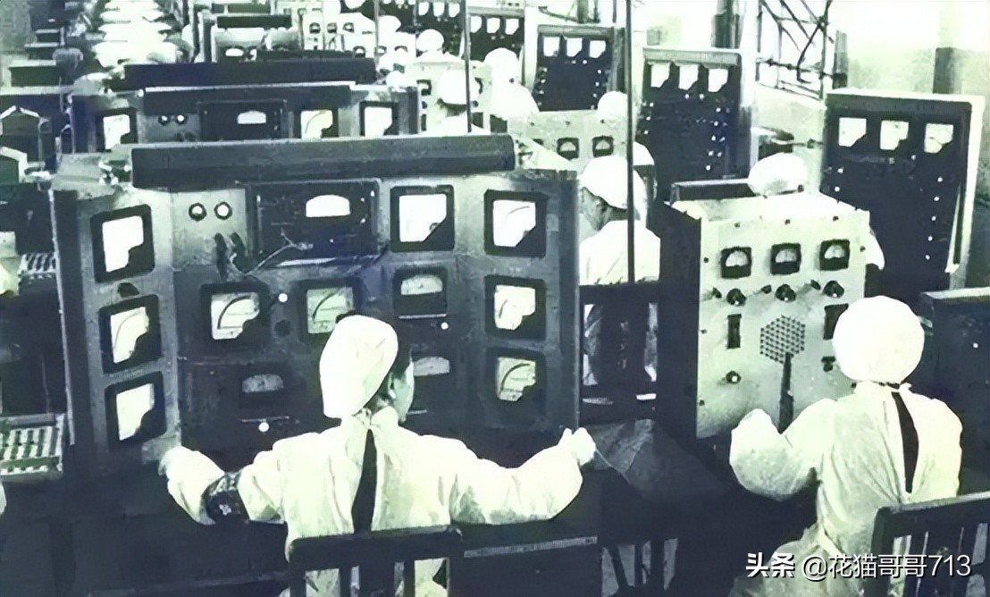 猫哥俄罗斯,猫哥在俄罗斯最新视频