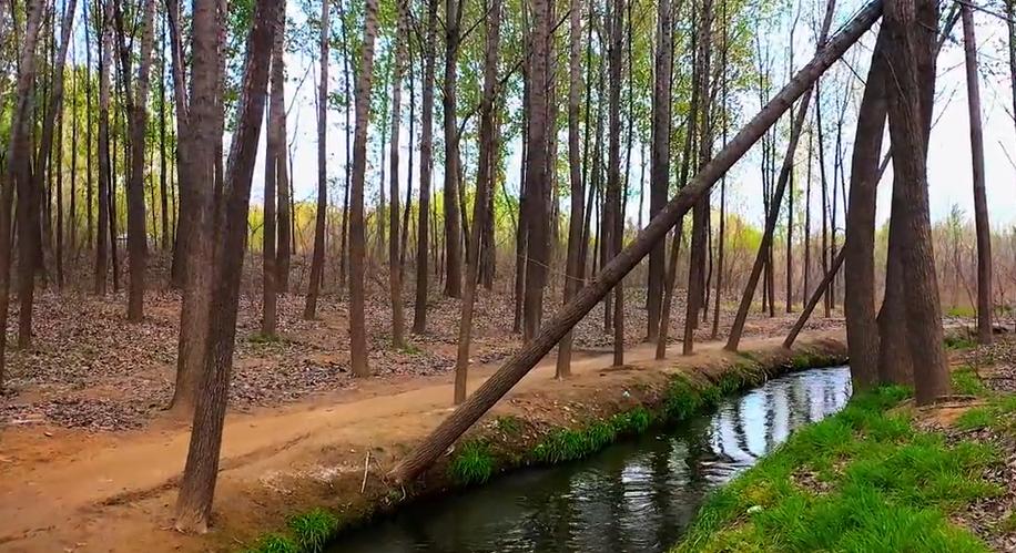 郑州出发十一冷门自驾游,郑州亲子游十大必去景点免费的