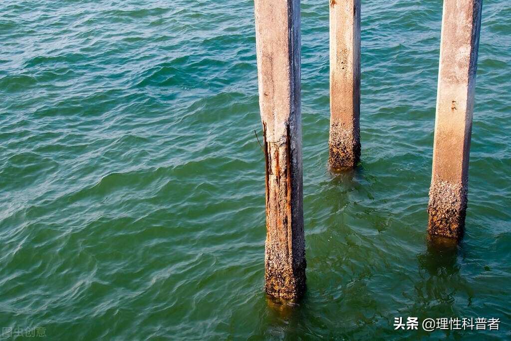渴了喝海水会怎么样,渴了喝海水会怎样