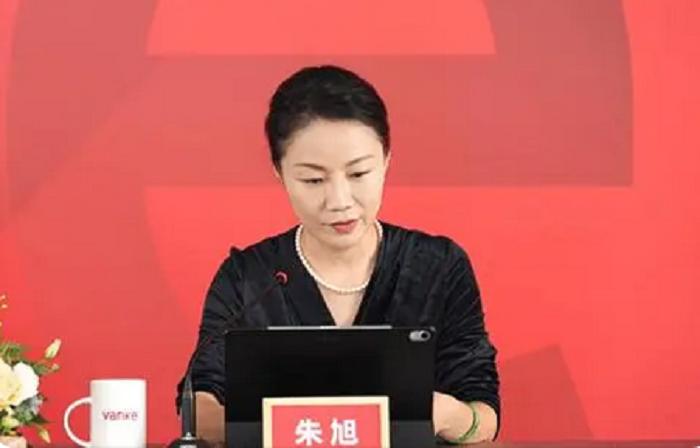 中国年薪最高的董秘朱旭,金牌女秘书朱旭年收入