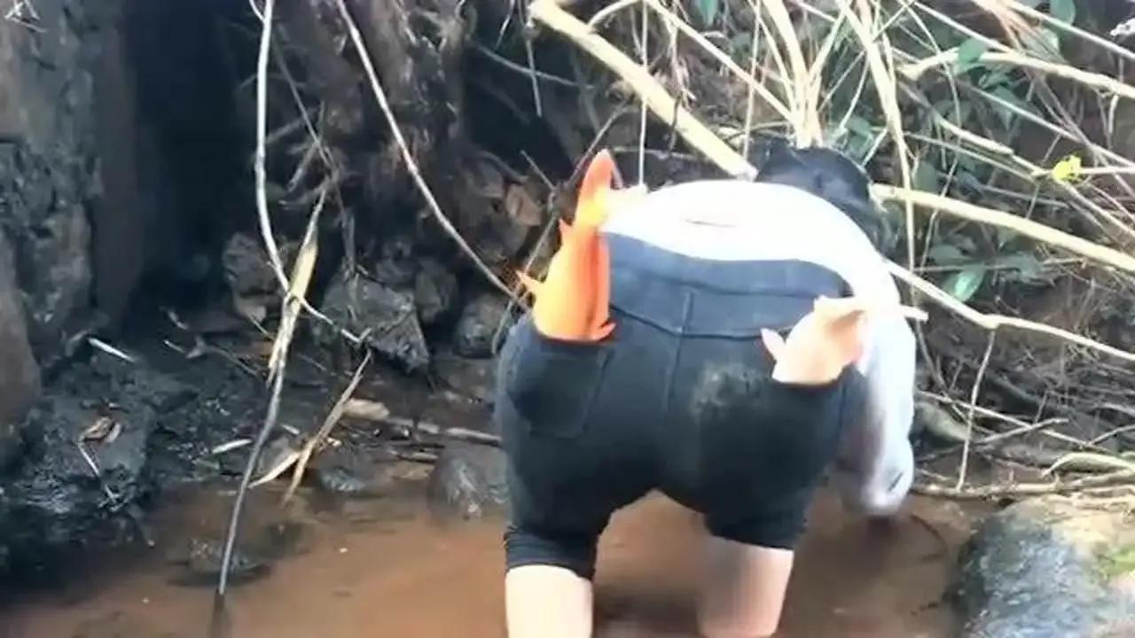 一个视频赚10w,一个小伙凭借一条视频赚几亿