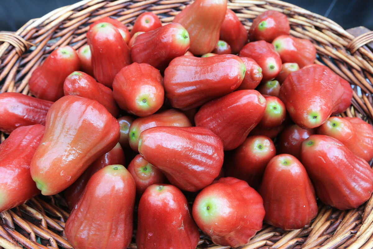 水果行情走高吗,水果行情持续走高