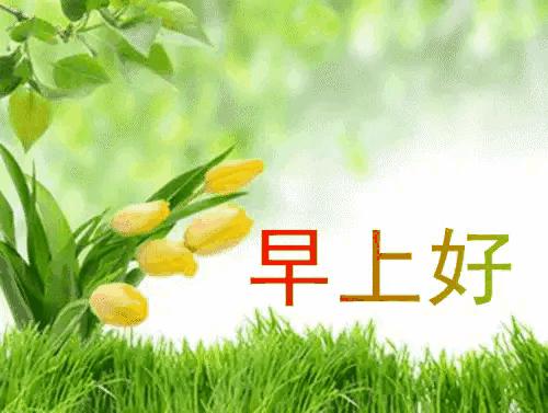 2023年农历是什么年癸卯年,农历2023年癸卯年正月结婚吉日