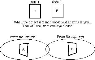5.67亿像素相片占手机内存,人类眼睛的像素是5.67亿像素