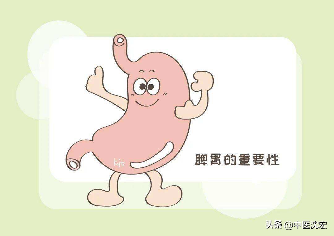 提高免疫力补气泡水喝的中药,一个补阳气的方子三味中药