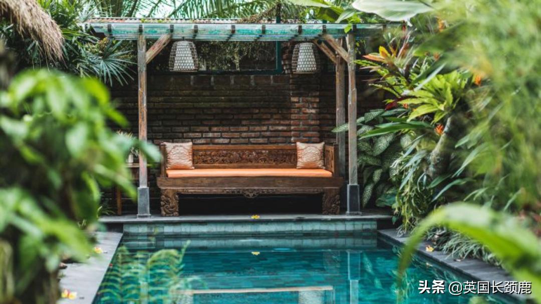 2020年切尔西花展抢先看,2023年切尔西花展