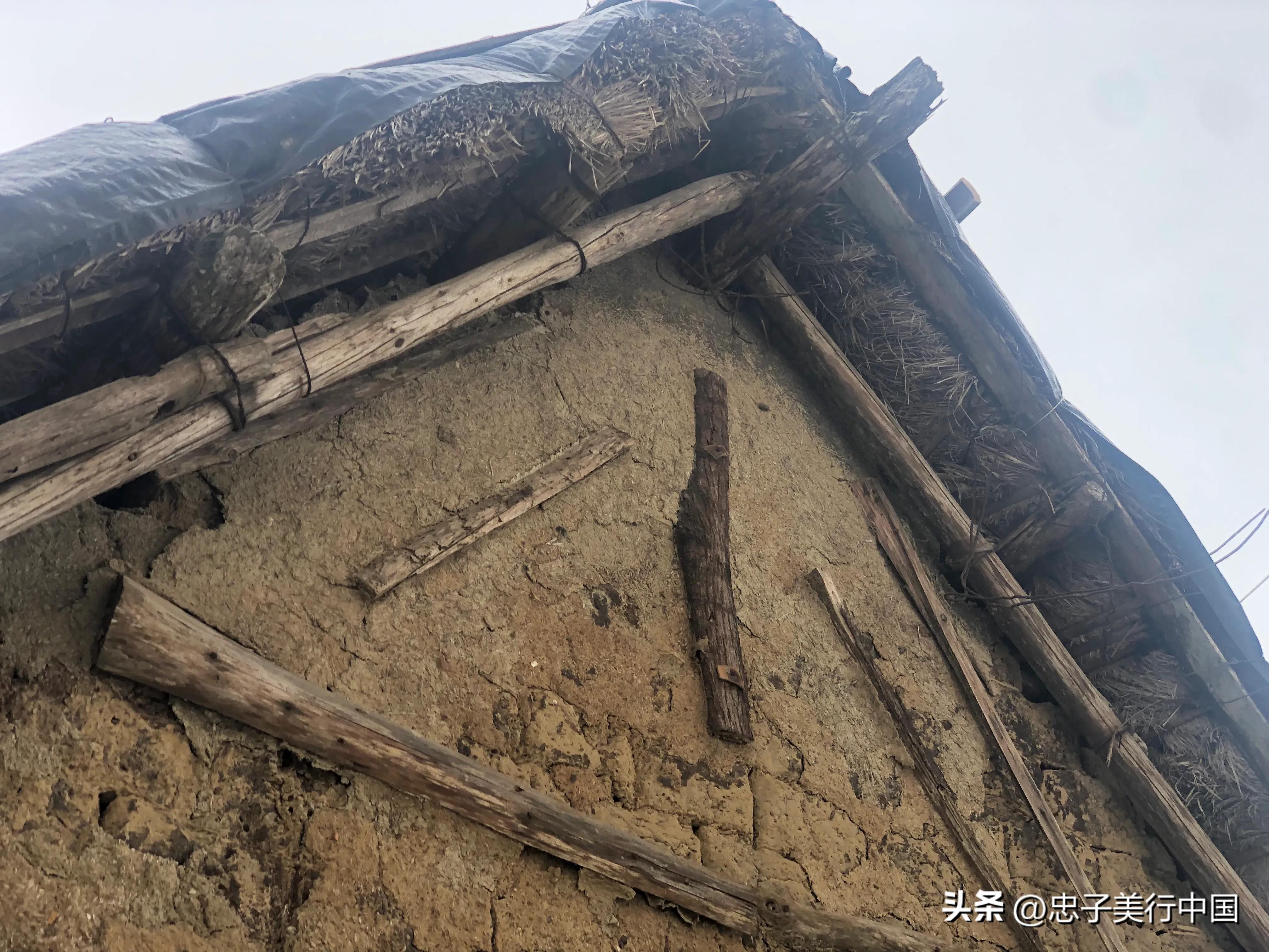 广东省雷州关于石狗的民间传说,雷州石狗简介