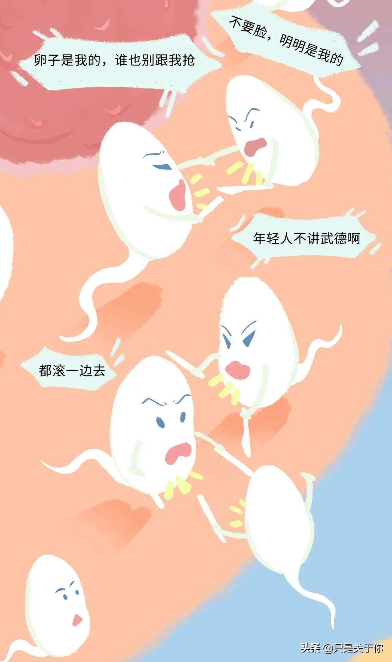 漫画：精子进入女生体内的全过程