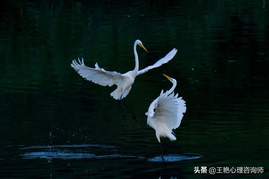 成年人如何克服人性的弱点,成年人怎么克服习得性无助