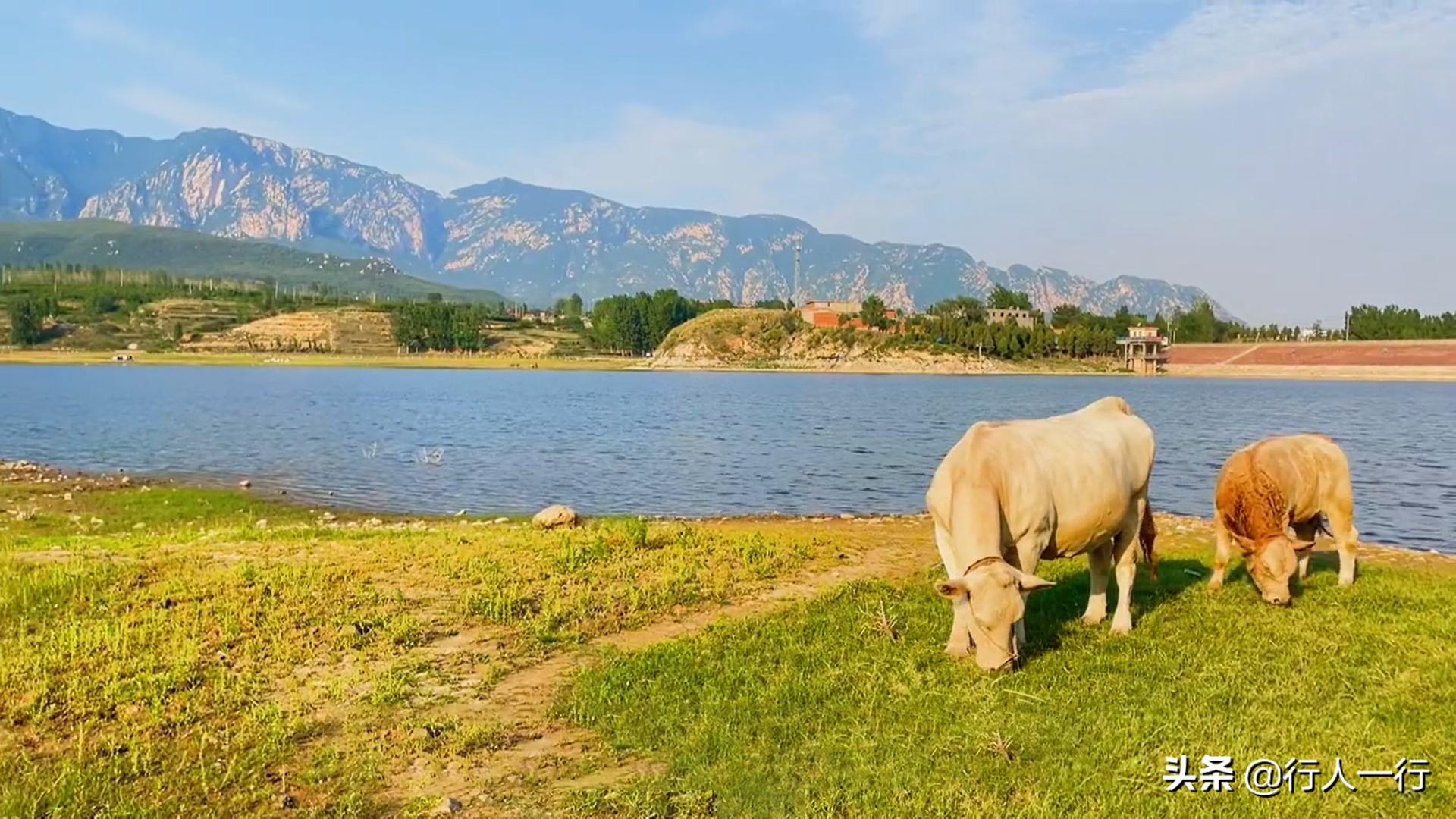 郑州周边夜晚露营地推荐,郑州露营旅游地点推荐