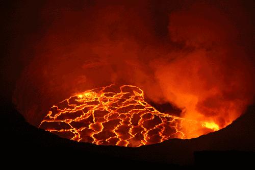 提高认知增长知识的高分纪录片,孩子必看的5部纪录片