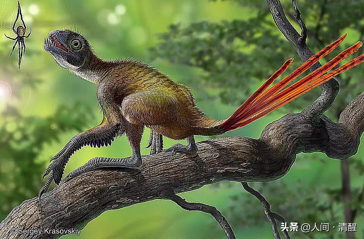 有翅膀的恐龙大全有图片有名字,带羽毛的恐龙名字及图片