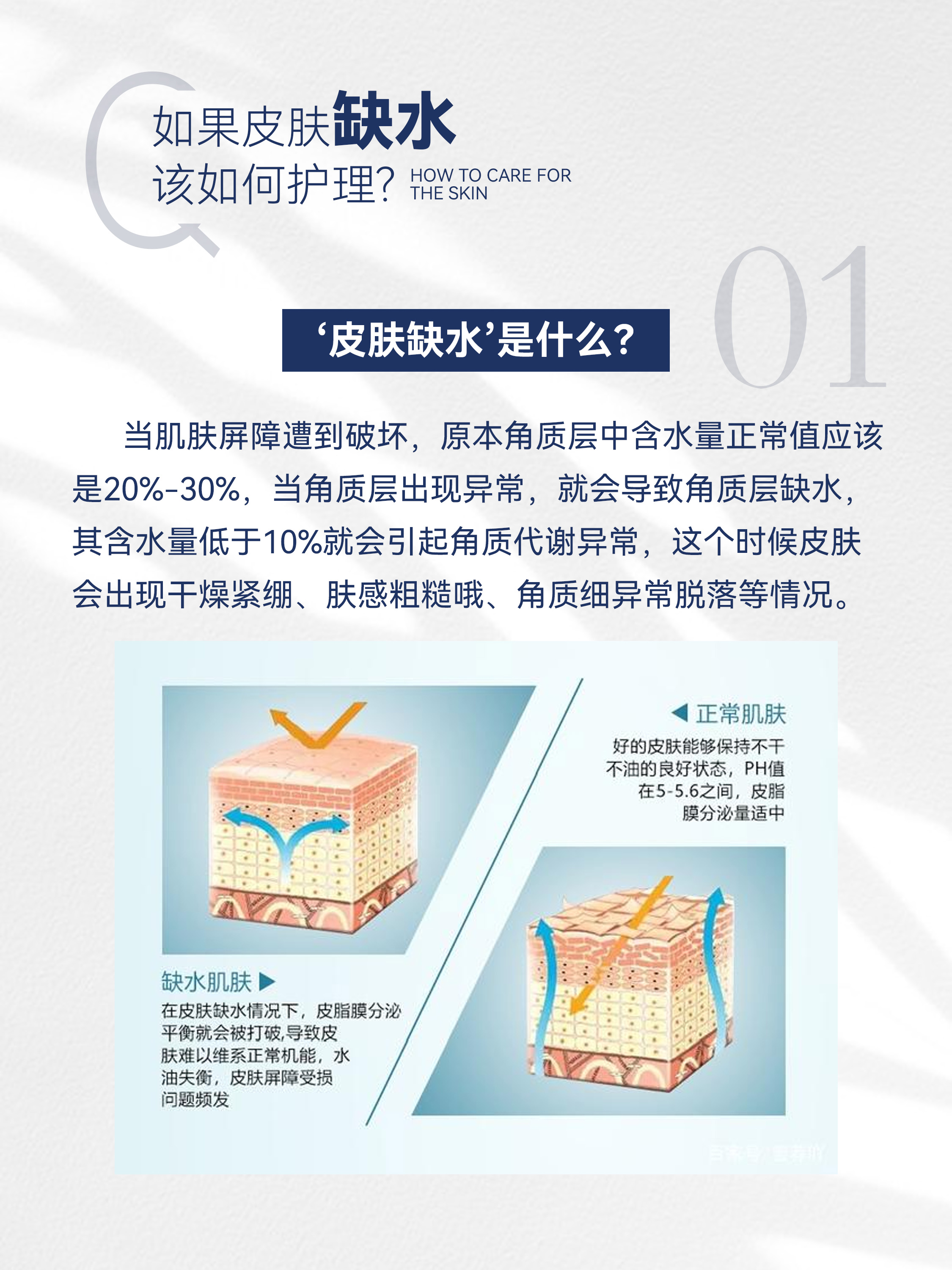 肌肤缺水的症状和治疗方法,肌肤缺水食疗方法