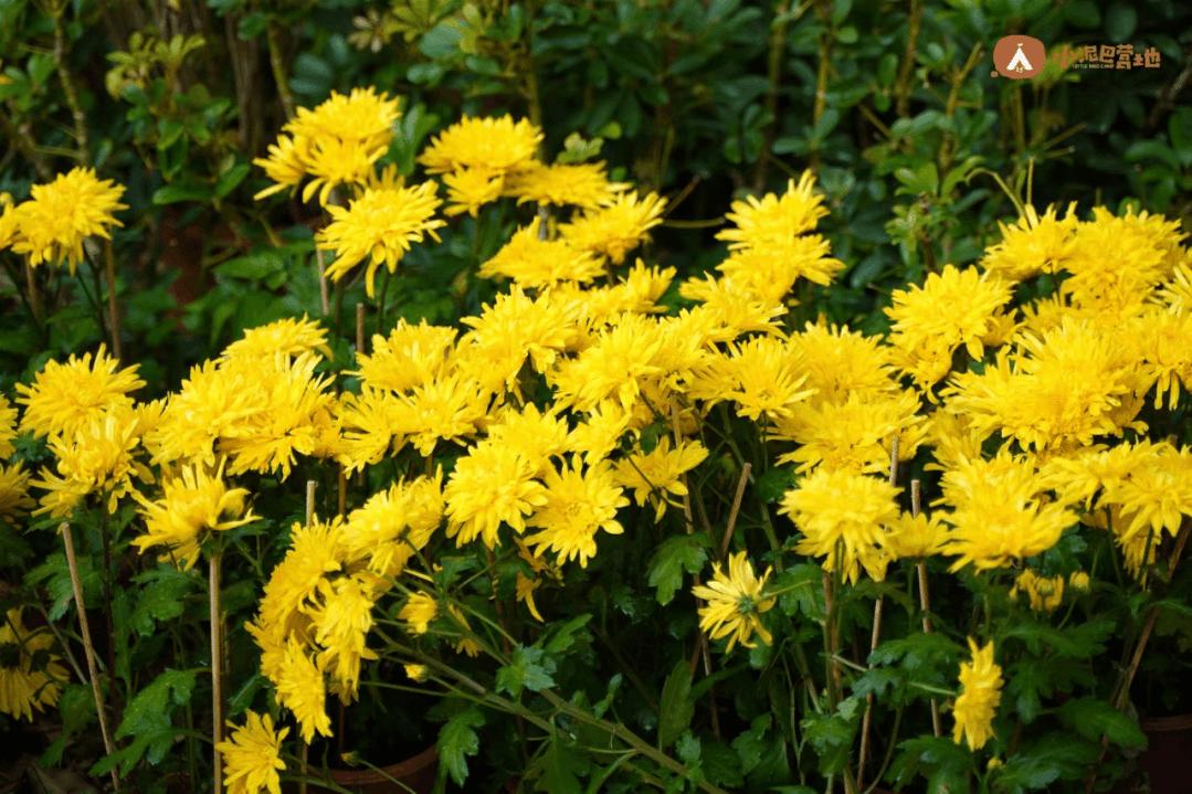 小宝宝一般几岁上幼托班好,孩子上托班给家长一点轻松的时光