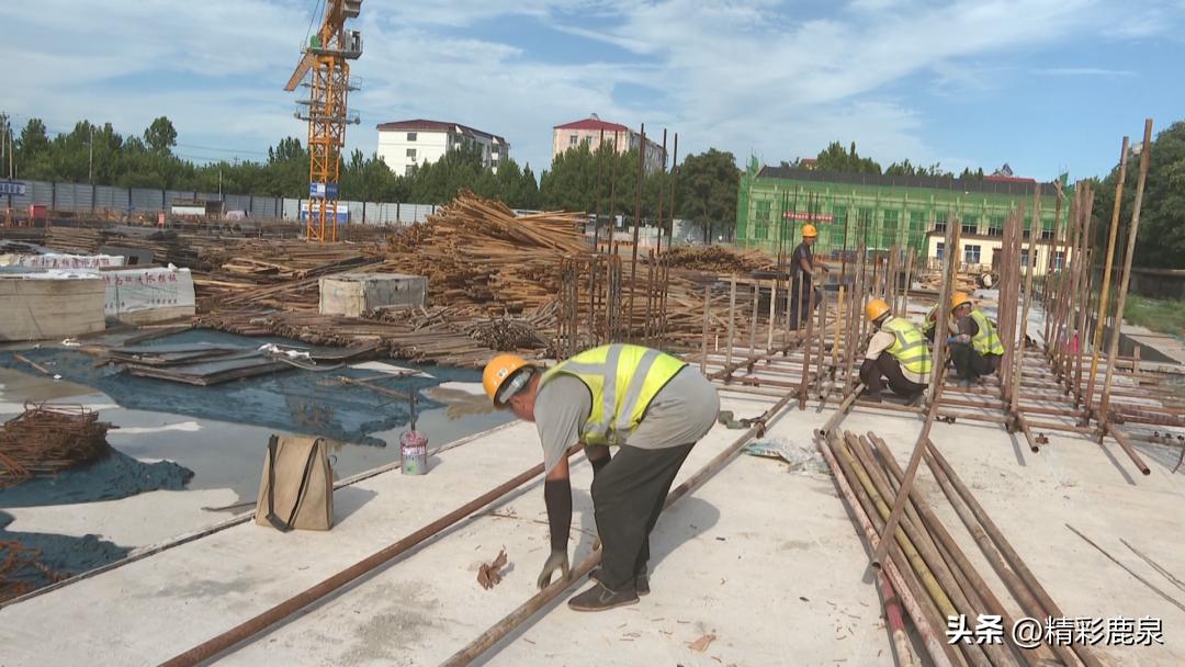 撸起袖子加油干成绩单,撸起袖子加油干努力工作