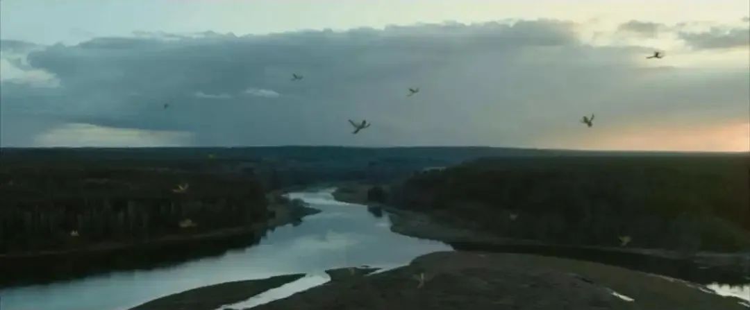 东欧废土科幻巨制,生物朋克与末日求生,烂番茄新鲜度90%