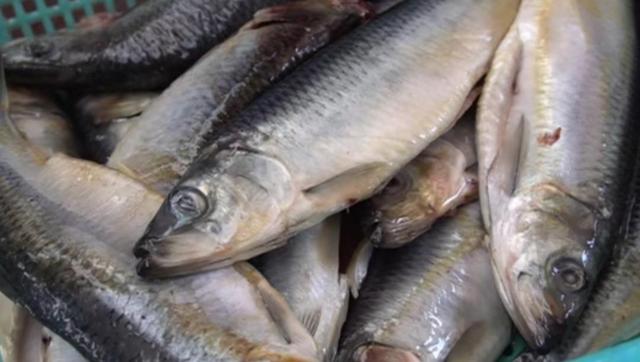 山东小伙3000元发家卖小吃,山东小哥摆摊