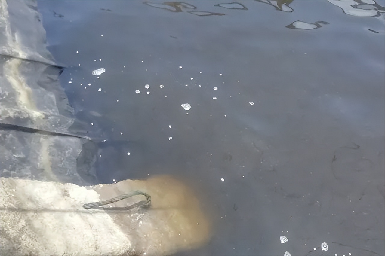 红水、绿水、浓水？高温期稳水就用粤彩乐