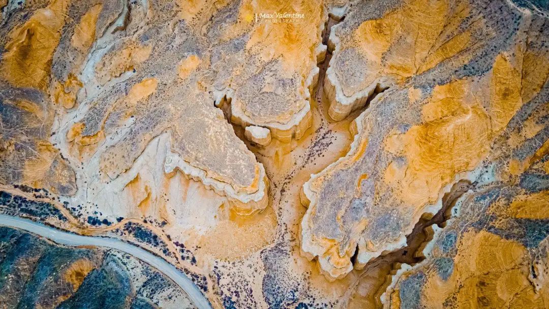 全世界仅存三处！一年只美21天！这场“黄金盛宴”，只因它而起