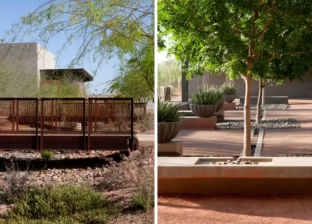 大学校园绿化设计,现代校园绿化规划设计