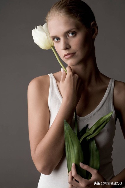 郁金香迫击炮,郁金香水培的正确方法