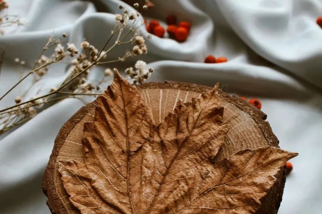 心情不好真的会显老视频,心情不好真的会显老怎么治疗