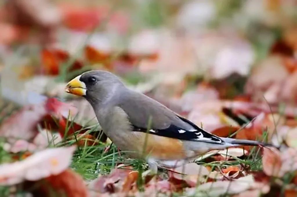上海市嘉定区安亭国际汽车城,上海嘉定安亭国际汽车城
