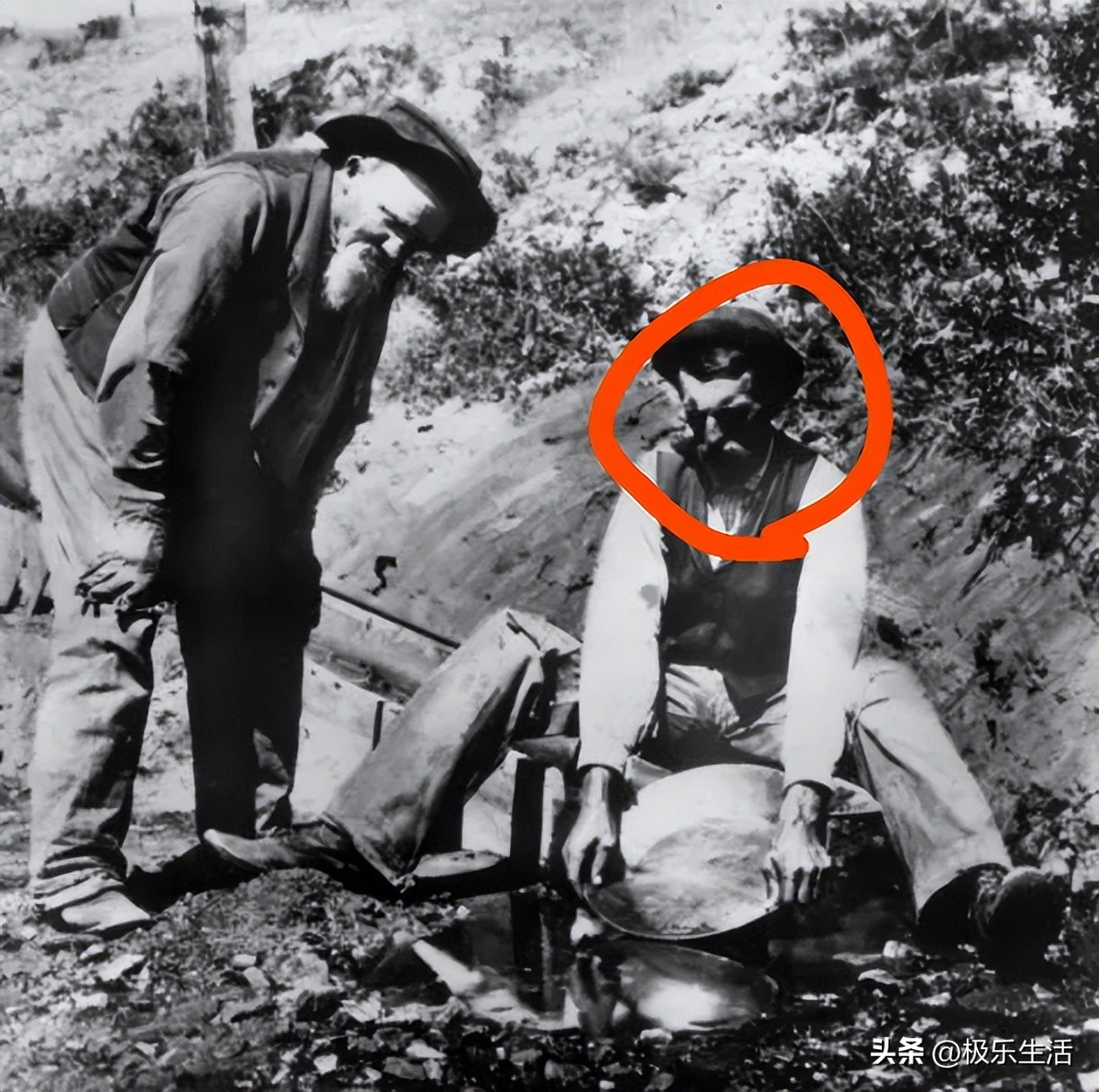 炎炎夏日给您带来视觉上的凉爽,发几张夏天炎热的图片