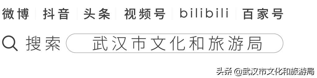 大江大湖千湖大武汉,大江大湖大武汉浩浩荡荡