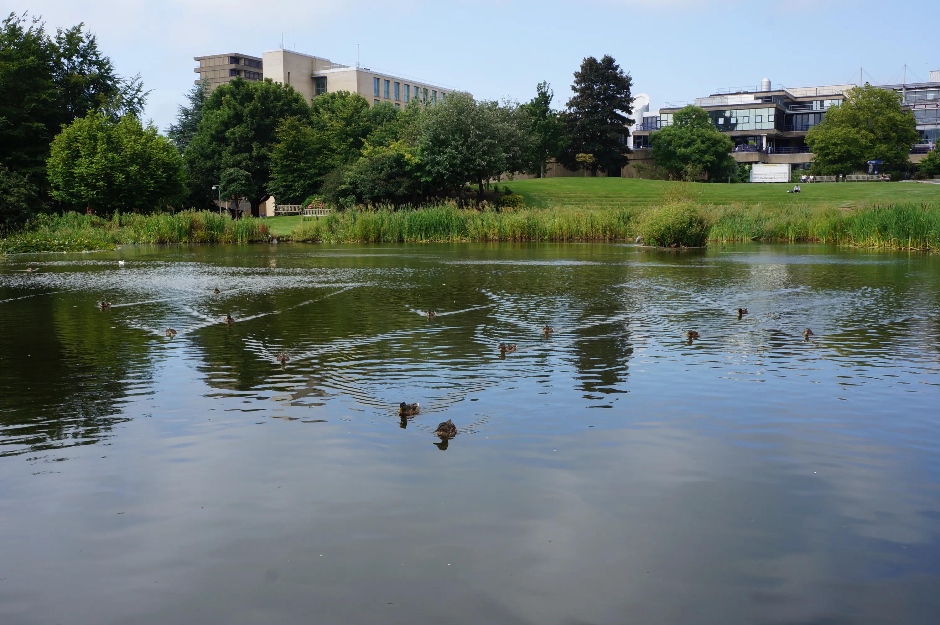 英国之旅完整版,英国巴斯旅游全攻略