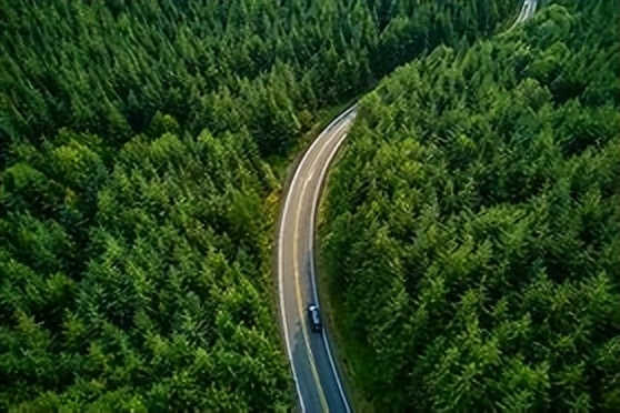 利用林业资源带动经济发展的举措,利用与发展